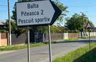 Vanzare Teren construibil 1300mp Piteasca Ganeasa . - 7
