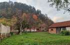 Casa veche + teren- zona superba BRATCA - 4