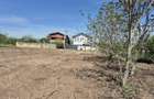 Teren Therme,posibilitate bransament apa-canal,gaz,electric,54000 euro - 9