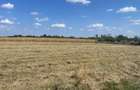 Teren intravilan Cersani, 5 km distanta de Bradu 10 euro mo
