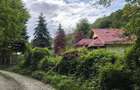 Teren de vanzare 15.000 mp in Telega - 1