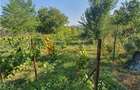 Exclusivitate! Teren intravilan zona Beceni - 3