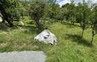 Parcela de 3.72 ari zona Valea Rosie - 1