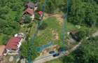 teren intravilan Bran Brasov