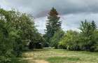 Domeniu rural, gospodarie/multifunctionala cu casa, livada, vie - 6