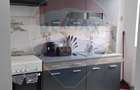 Apartament cu 2 camere de vanzare in Gura Campului - 3