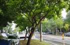 Domenii, Ion Mihalache, vanzare apartament 2 camere mobilat si utilat - 5