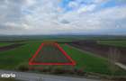 Teren intravilan de vanzare in Bicfalau! - 8