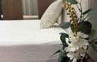 3 camere | Parcare | Pipera Design premium & prima inchiriere - 17