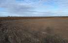 Teren intravilan 882mp Rediu, Platou Beldiman - 3