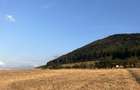TEREN DE VANZARE Gura raului , zona marajdiei