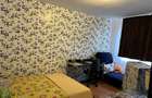 Apartament 1 camera-Complex - 5