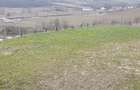Vand teren intravilan Livezeni - 4
