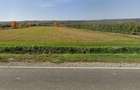 Teren intravilan 13060 mp | Deschidere 64 m la DN72A Voinesti