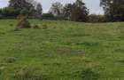 Teren munte Bumbesti Jiu - 6