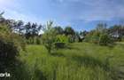 Teren intravilan | Goranu,Ramnicu Valcea | Barajul Oltului |1.320 mp - 11