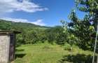 Casa de vanzare cu livada, fanta, 98 mp, Str. Principala - Coada Malul - 1