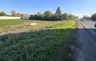 Vanzare teren intravilan 2500 mp,deschidere doua strazi Crevedia - 5