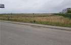 Teren de vanzare autostrada - 6
