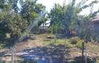 Casa locuibila localitatea Tataru, jud. Braila - 4
