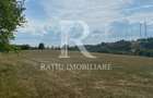 Teren Intravilan | 17.500 mp | S?inteu | Bihor