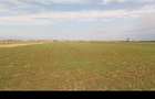 Teren agricol extravilan BorsSantion | CF + cadastru | cota mostenita