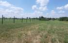 URGENT.Ocazie.Teren aflat intre case. Curent Trifazic. Asfalt.Deschidere 15 ml. - 7