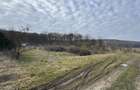 Teren intravilan de vanzare in Corunca - 2