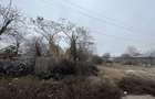 Vand teren intravilan 1600 mp cu toate utilitatile - 10