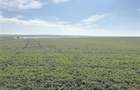 Teren Intravilan,  3 Loturi de 700 mp, Aproape de Lac - Techirghiol - 4