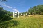 Teren | 2.547mp Intravilan/ 10.375mp Extravilan | Loamne? - 3