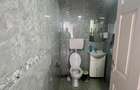 RECO Spatiu comercial Cantemir - 3