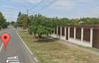 Teren intravilan pentru casa - 2