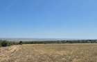 Vand teren extravilan 3 ha Livada Mare, Comuna Grebanu, jud Buzau - 8