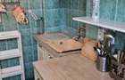 Apartament de doua camere cu vedere spre Palatul Cotroceni - 9