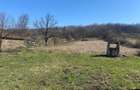 Teren de vanzare 11.000 mp, acces asfaltat - 9