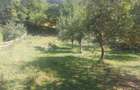 Teren Avram Iancu Jud Alba - 6