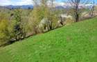 teren intravilan in zona Magura Bran - 25