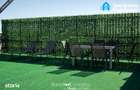 #Penthouse mobilat ?i utilat terasa 110mp | zona Lidl, Mamaia Nord - 16