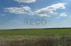 RECO Oportunitate teren 25000mp Santandrei - 1