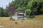 Casuta de vacanta de vanzare comuna Alexandru cel Bun, Neamt - 2