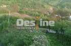 Drajna de Jos 5000 mp Teren +Casa demolabila ! - Drajna De Jos (Prahova)
