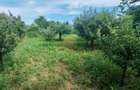 Casa complet mobilata, 3 dormitoare, garaj si livada Racaciuni - 15