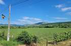 Vand teren intravilan in Stremt jud Alba - 2