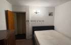Apartament cu 2 camere de inchiriat - Titan - Nicolae Grigorescu