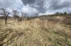 Teren intravilan in suprafata de 2000 mp, zona Episcopiei - 6