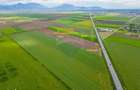 Teren intravilan cu PUZ, 20000 mp, Harman, DN 11 - 7