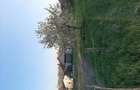 Teren 2.000 mp cu casa ?i toate utilita?ile Biharkeresztes, aproape de Oradea