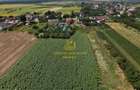 Teren 2.700 mp Ciocane?ti - Urziceanca | La asfalt - 12