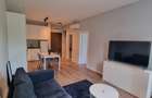 Apartament de inchiriat cu 2 camere in zona Domenii - 4
